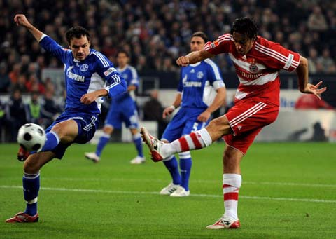 的主心骨和 的主心骨和