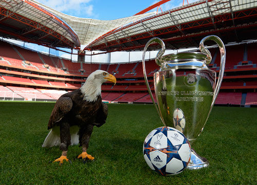 亚冠赛场创 亚冠赛场创