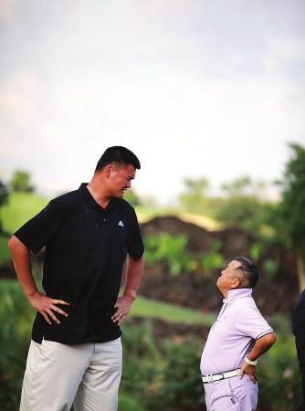 的辉煌岁月 的辉煌岁月