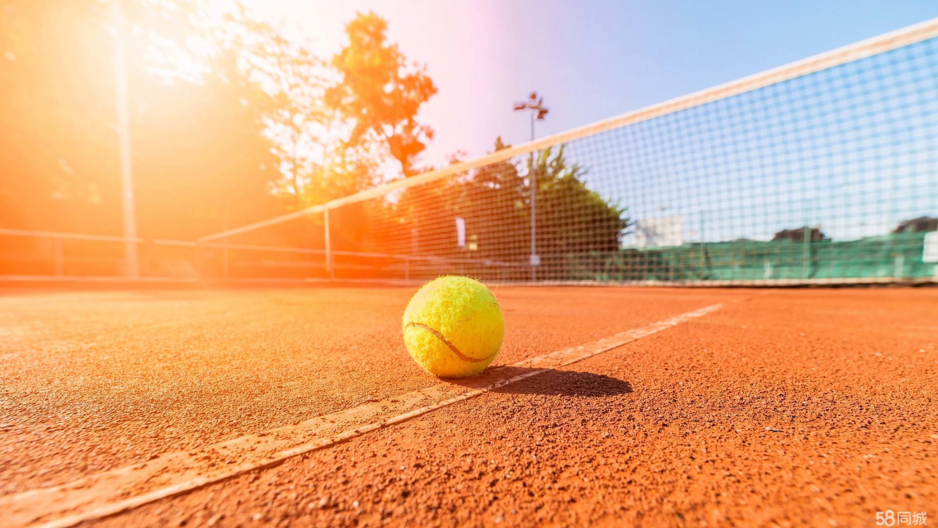 他们需要随 他们需要随