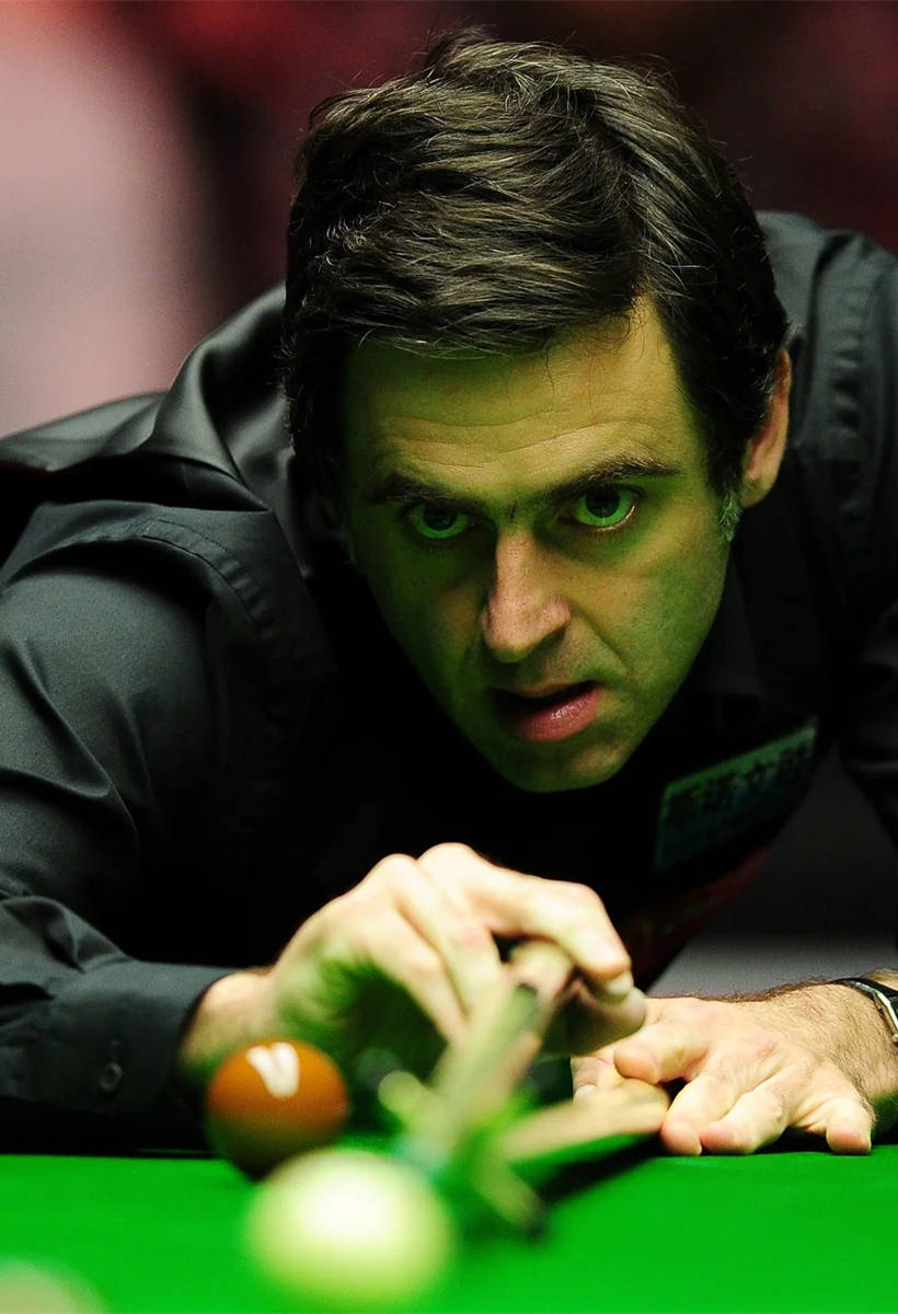 同时也展示 同时也展示