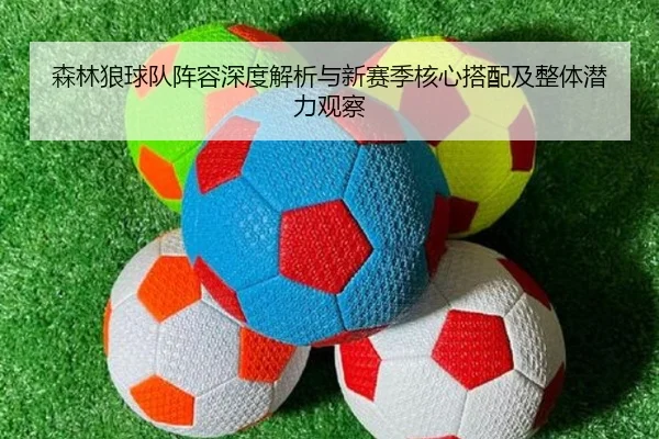 森林狼球队阵容深度解析与新赛季核心搭配及整体潜力观察