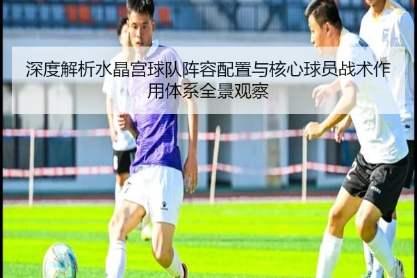 深度解析水晶宫球队阵容配置与核心球员战术作用体系全景观察
