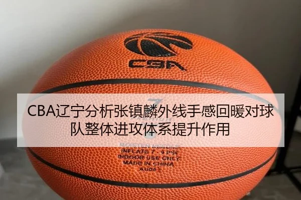 liao-ning-fen-xi-zhang-zhen-lin-wai-xian-shou-gan-hui-nuan-dui-qiu-dui-zheng-ti-jin-gong-ti-xi-ti-sheng-zuo-yong-2-652.jpg