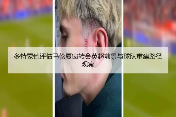 多特蒙德评估马伦夏窗转会英超前景与球队重建路径观察
